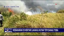 Kebakaran 35 Hektar Lahan dan Hutan di Tepi Danau Toba, Petugas Kesulitan Padamkan Api!