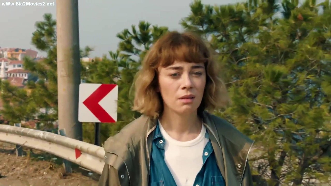 Sholevar-E04