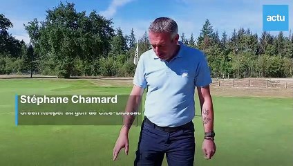 Sécheresse près de Rennes : pourquoi les golfs veulent continuer à arroser leurs greens