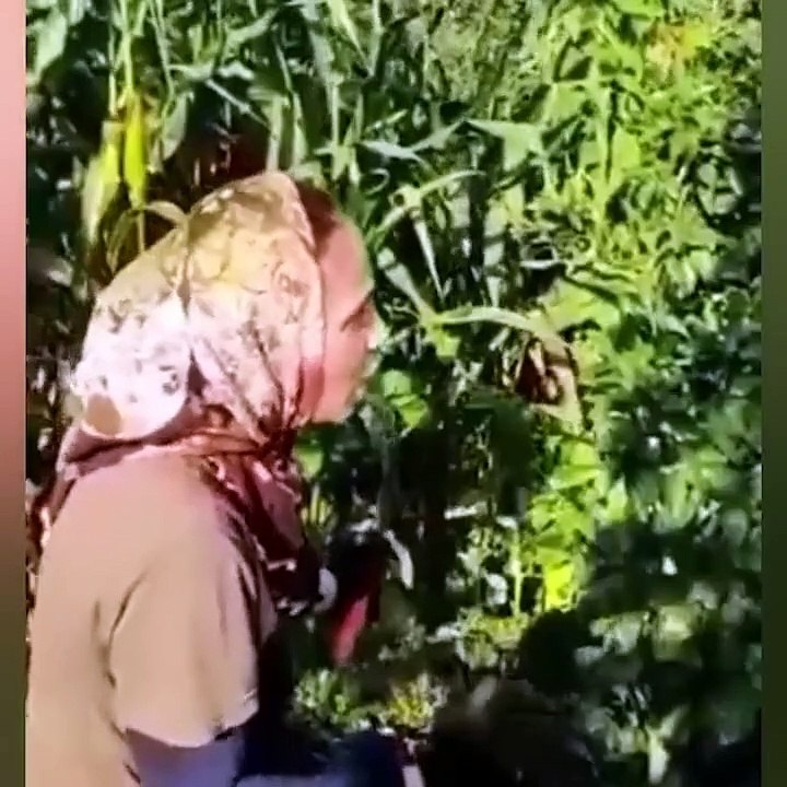 Arazisi istimlak edilen Rizeli vatandaş isyan etti: Kendimi Filistinli gibi hissediyorum!