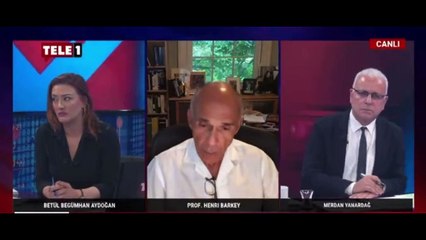 Henri Barkey: Bir profesör ile birlikte Fetullah Gülen’le görüştük