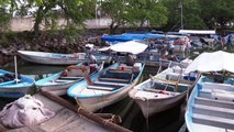Exigen pescadores se garantice su espacio en la lonja pesquera | CPS Noticias Puerto Vallarta