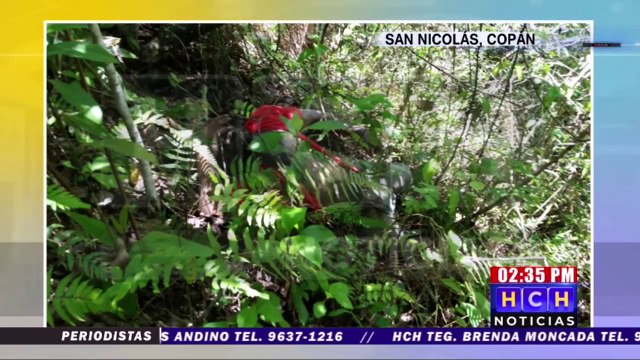 ¡Dantesco! encostalado y en estado de descomposición encuentran cadáver en San Nicolás, Copán
