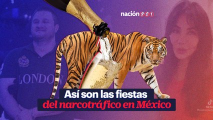Así son las fiestas del narcotráfico en México