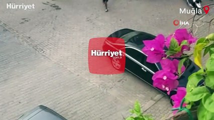 Avrupa'ya geldikleri hayaliyle indiler, polise yakalandılar