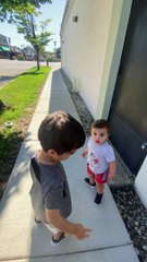 Saving a Baby Bird Stuck in Rocks