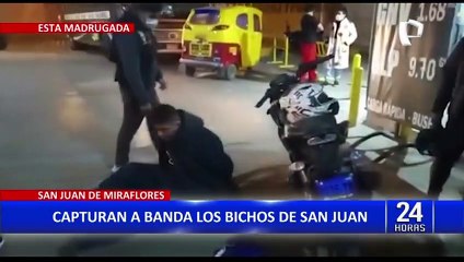 SJM: Capturan a integrantes de peligrosa banda criminal "Los bichos de San Juan"