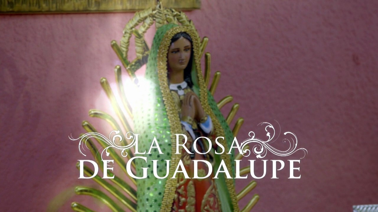 La Rosa de Guadalupe vuelve a su casa, el Canal RCN
