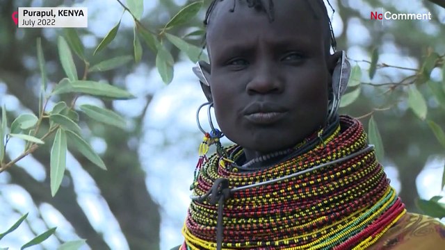 Extreme Dürre im Norden Kenias: Es gibt nur noch bittere Beeren