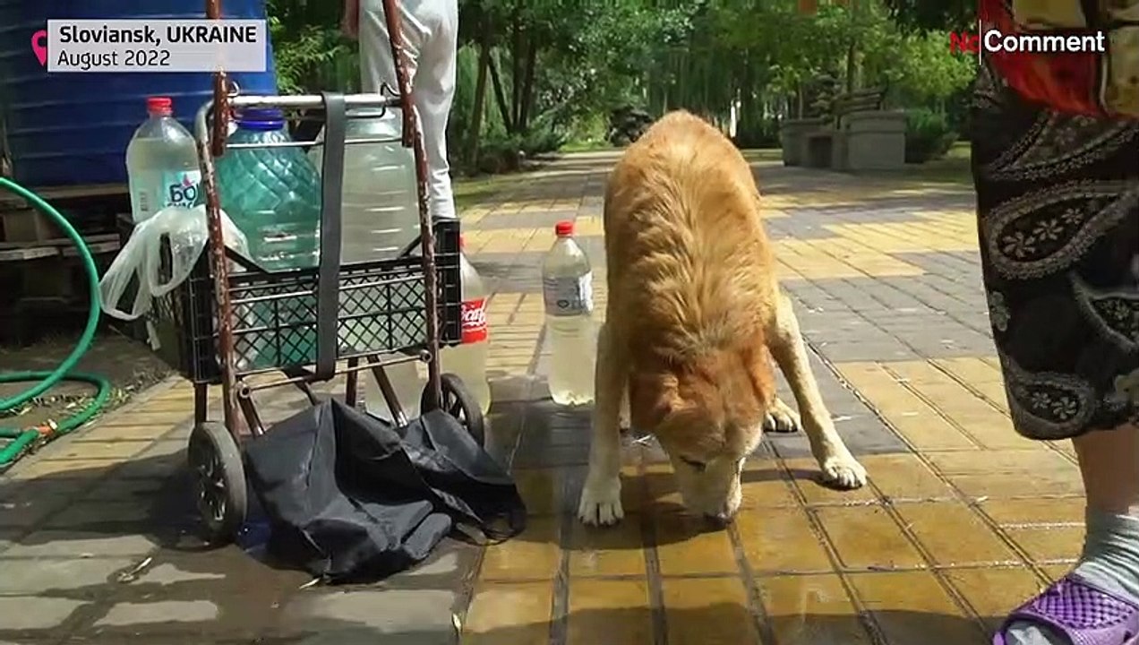 Wasser holen in Slowjansk: "Es ist gefährlich, aber was sollen wir tun?"