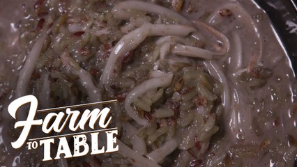 Farm to Table: Inuruban with special pinipig recipe