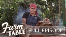 Farm to table: Adventure in Castro Tomas Agri-techture farm continues! | Full episode