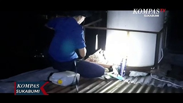 Petugas Damkar Evakuasi Sarang Tawon Vespa Ukuran Besar