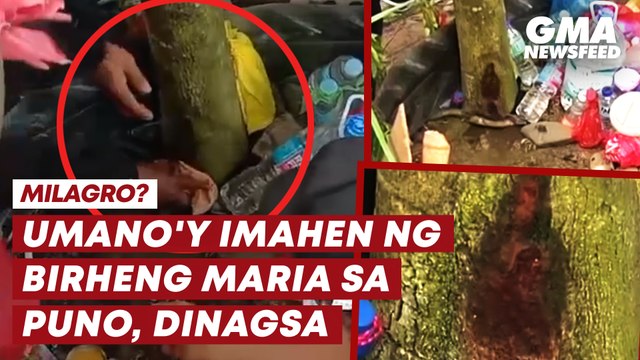 Umano'y imahen ng Birheng Maria, lumitaw sa puno! | GMA News Feed