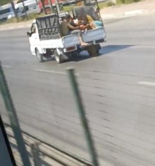 Bursa 3. sayfa haberi: Bursa'da kamyonet kasasında tehlikeli yolculuk kamerada
