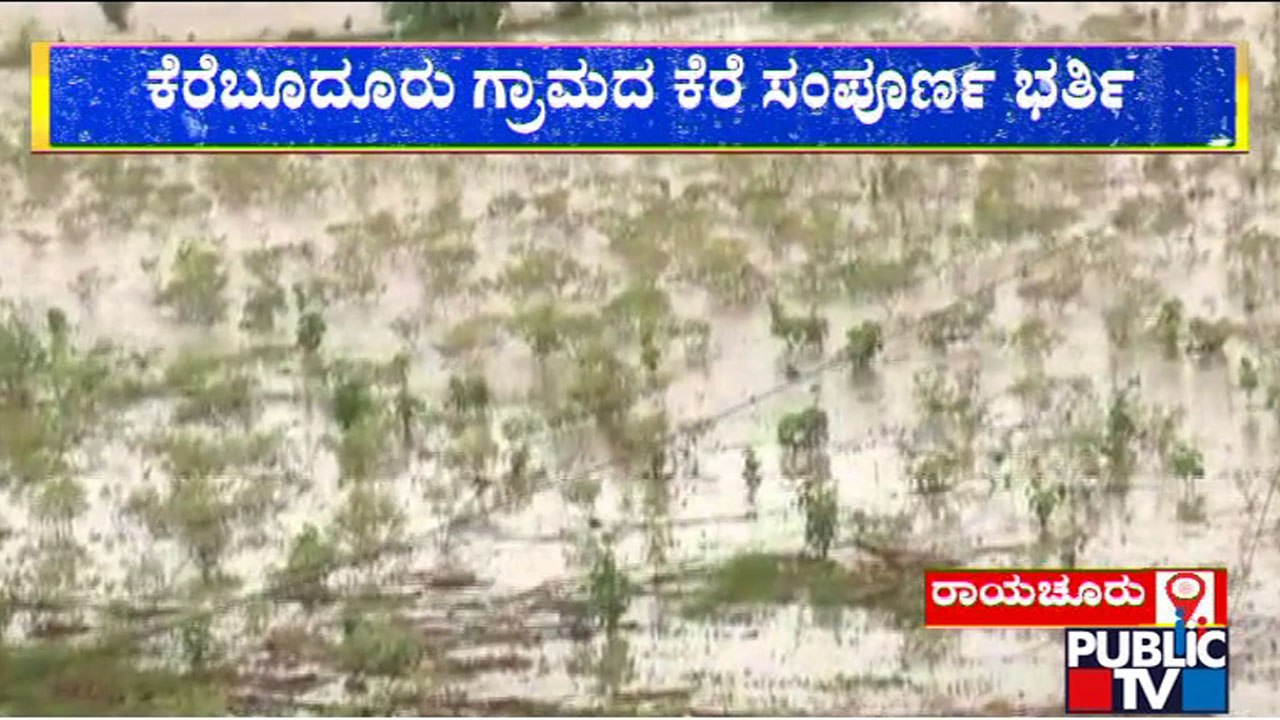 Heavy Rain In Raichur Inundates Cotton Crop Grown In Hundreds Of Acres | Ground Report | Public TV