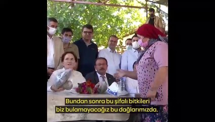 Akşener'den Erdoğan'a: Çocukların geleceğini rantçılığa göz yumarak feda edemezsin