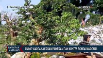 Animo Warga Saksikan Pameran dan Kontes Bonsai Nasional