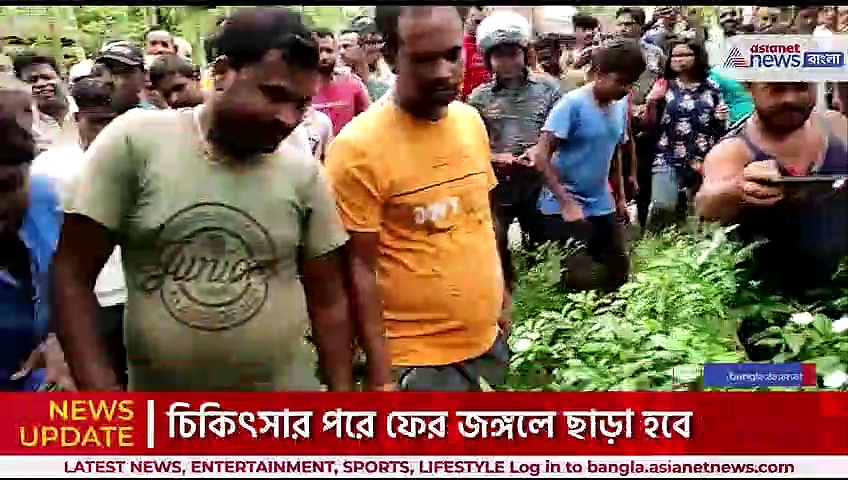 জঙ্গল থেকে বেরিয়ে লোকালয়ে ঢুকে পড়ল হরিণ, উদ্ধার করল বনদপ্তর