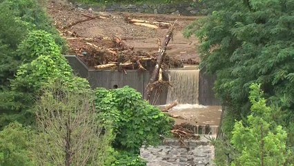 '2011년 산사태' 우면산에서 '토사 흘러내림' 발생 / YTN