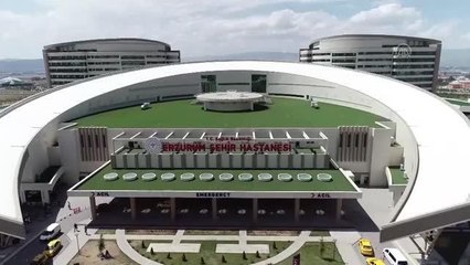 Son dakika haberi | Elektrik akımına kapılan sürüdeki koyunları kurtarırken ölümden döndü