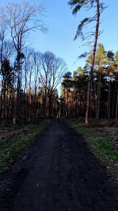 Hermann Schmidt  Teamprofi.Schule