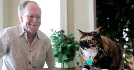 États-Unis : un « chat de garde » fait fuir des cambrioleurs qui tentaient de s'introduire dans la maison de son maître