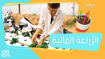 كل ما عليكم معرفته عن الزراعة المائية وفوائدها