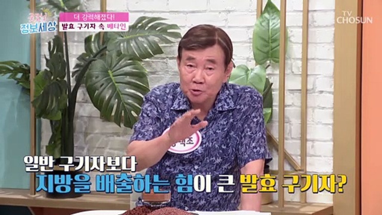 혈관 속 나쁜 지방을 배출하는 구기자 속 ‘베타인 성분’ TV CHOSUN 22080...