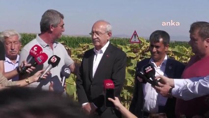Edirne haber: Kılıçdaroğlu, Edirne'de Ayçiçek Alım Fiyatı Önerilerini Açıkladı: "Kilosunun 16 Lira Olması Lazım, Destek Hariç"