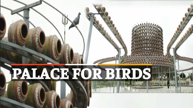 Know About This Unique Structure; Man Spends Over Rs 20L To Build House For Birds