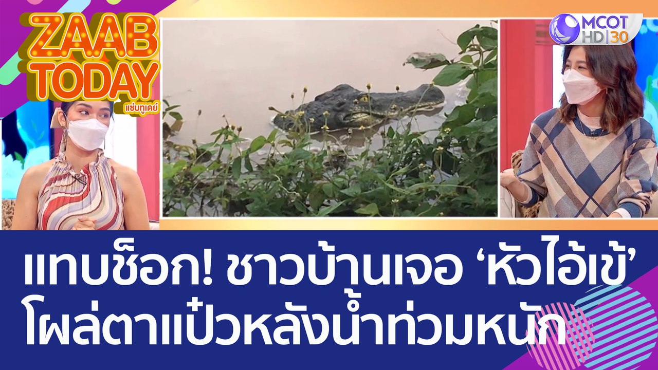 แทบช็อก ชาวบ้านเจอหัวไอ้เข้  โผล่ตาแป๋วหลังน้ำท...