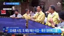 “오세이돈 돌아왔다” 부글…서울시 대처 어땠길래?