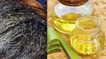 बालों में एलोवेरा तेल लगाने से क्या होता है | Aloe Vera Oil Benefits for Hairs | Boldsky *Health