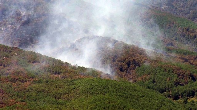 España acumula casi el 40% del total de hectáreas quemadas este año en la Unión Europea