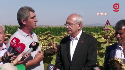 Kılıçdaroğlu, Edirne’de ayçiçeği alım fiyatı önerilerini açıkladı