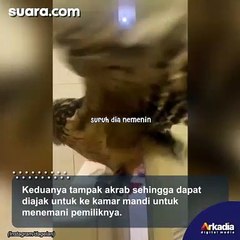 Takut Pergi ke Kamar Mandi Sendirian, Cowok Ini Minta Ditemani Burung Hantu