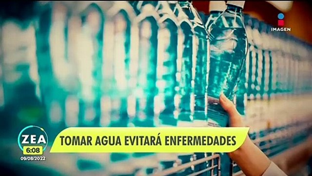 Consumir agua embotellada para evitar infecciones gastrointestinales