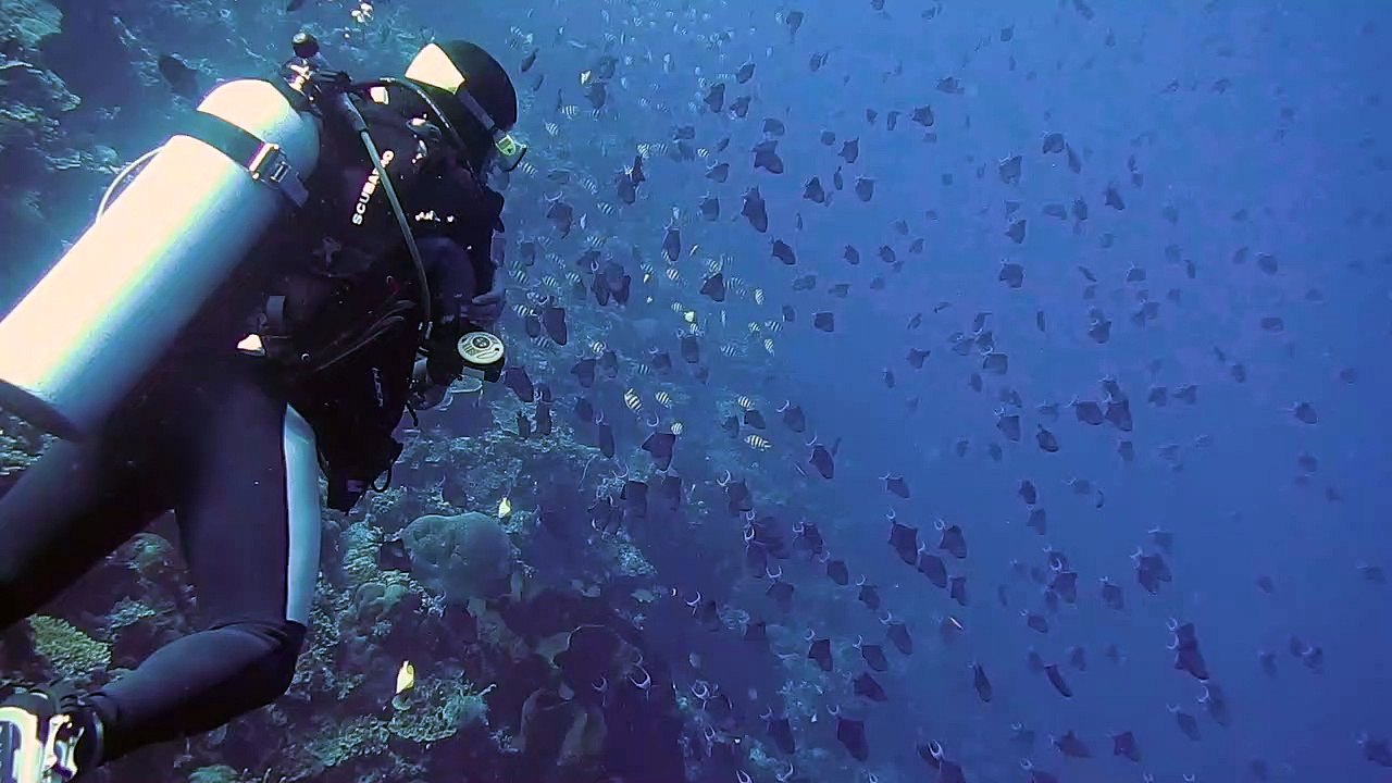 Uder Sea
