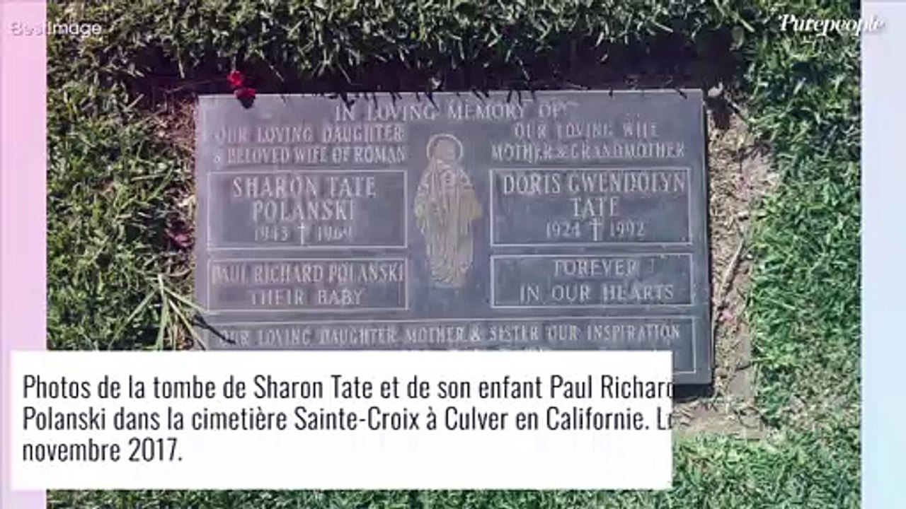 Sharon Tate : L'épouse de Roman Polanski assassinée enceinte de 8 mois, un drame épouvantable