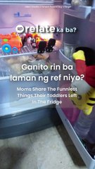 Hilarious things toddler put in their refrigerators