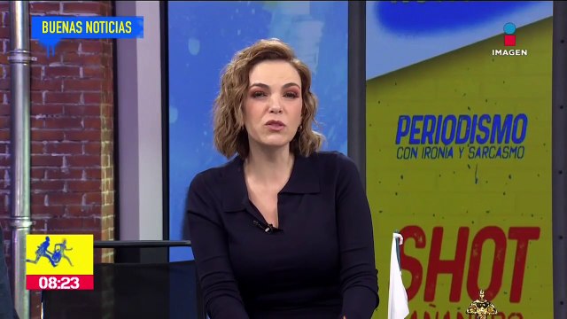 Seis felinos de Black Jaguar-White Tiger llegan a Tamaulipas