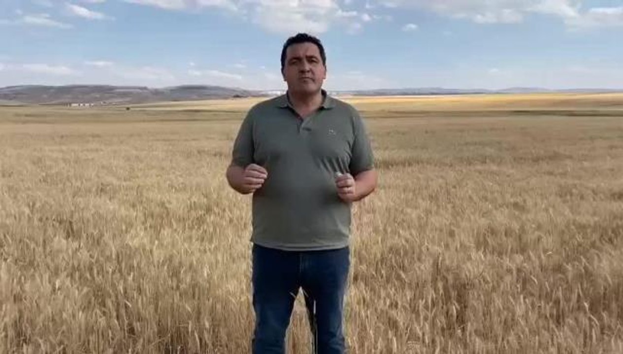 Sivas haberi | Ulaş Karasu: "Tmo'nun Buğday Teslim Tarihini 15 Gün İleri Atması Gerekmektedir, Çiftçilerimiz Mağdur Olmamalıdır"