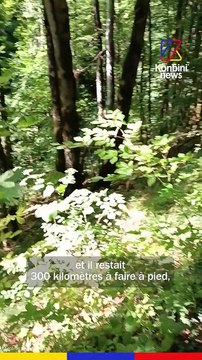 Marcher (beaucoup) pour démonter les clichés sur le cancer | Le Speech des frères Dinaut “Un Cancéreux et une Tige”