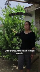 Buhay Probinsya: Backyard farming in the province