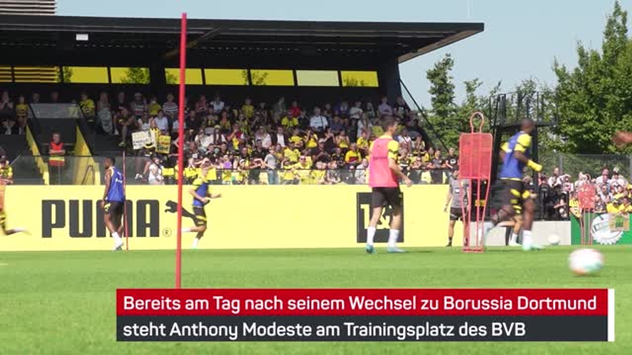 Modeste absolviert erstes training in schwarz-gelb