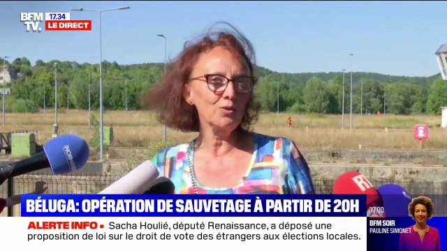 Béluga dans la Seine: 80 personnes dont une quarantaine de pompiers sont mobilisés pour l'opération de sauvetage, selon la préfecture