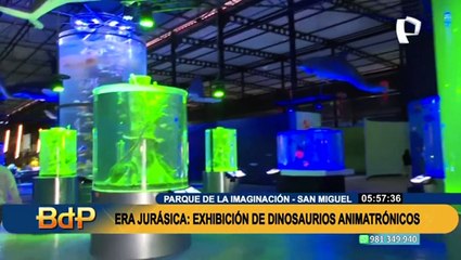 El Parque de la Imaginación presenta el acuario más grande de Lima