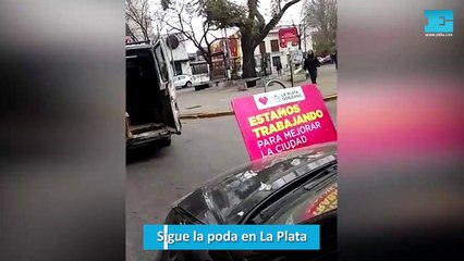 Sigue la poda en La Plata