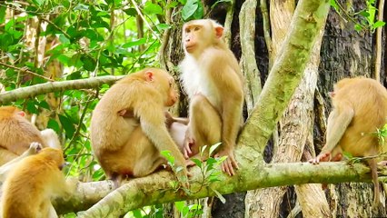 61=Super care from Libby but make little Rainbow  very scare &worry fall down